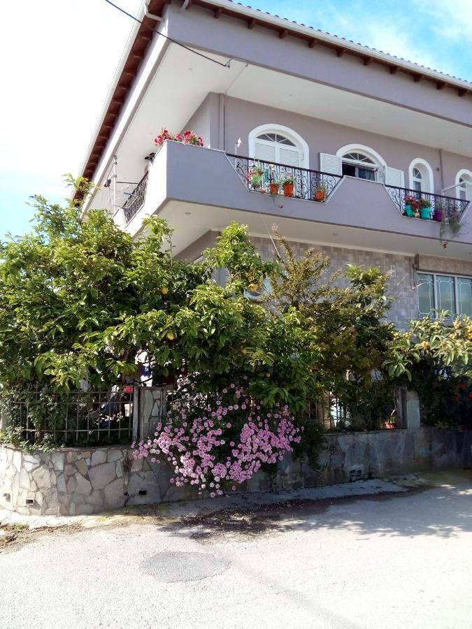Vonitsa Loft Apartment 1 外观 照片